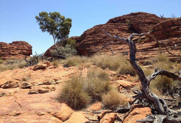 Australian desert